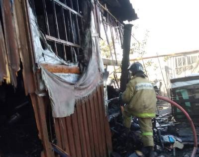 Мужчина погиб на пожаре в Рыбновском районе