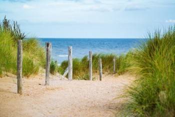 Затоновский пляж будет благоустроен в 2022 году в Вологде по проекту «Комфортная городская среда»