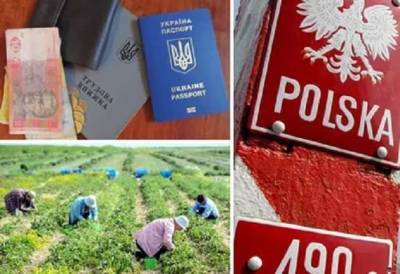 Украинских заробитчан обманывают в Польше и "выкачивают" деньги: как не стать жертвой мошенников