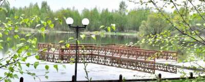 В Электрогорске в этом году расчистят озеро Стахановское