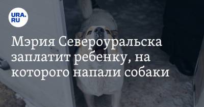 Мэрия Североуральска заплатит ребенку, на которого напали собаки