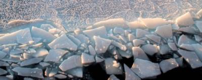 Ученые предупредили об ускоренном темпе таяния льдов Арктики