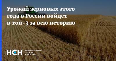 Аркадий Злочевский - Урожай зерновых этого года в России войдет в топ-3 за всю историю - nsn.fm