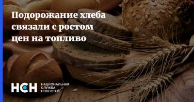 Аркадий Злочевский - Подорожание хлеба связали с ростом цен на топливо - nsn.fm