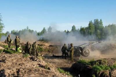 Эстонская добровольческая организация Кайтселиит получила собственную артиллерию