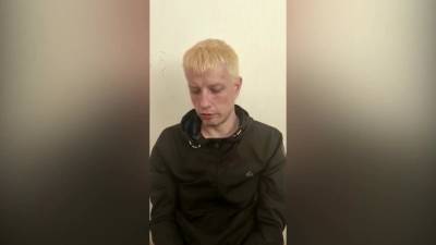 Мужчина, который сбил 5-летнюю девочку на Искровском, утопил свой самокат - piter.tv - Санкт-Петербург