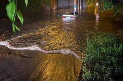 Автомобили тонут, птицы гибнут: еще один украинский город уходит под воду. ВИДЕО
