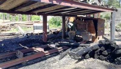 В Липецкой области сгорели пилорама, садовый домик и ВАЗ