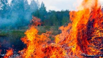В полтора раза увеличились лесные пожары в регионах РФ
