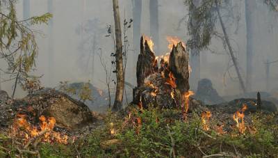 Жителей центральных районов Тверской области предупреждают о высокой пожарной опасности