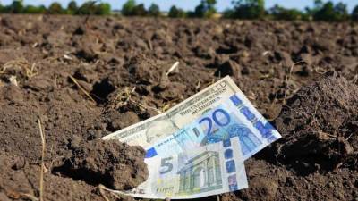 Молдавские социалисты выступают за запрет продажи земли иностранцам