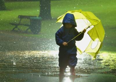 Робкое потепление и дожди: синоптик рассказала о погоде в первые выходные лета