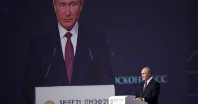 Путин назвал чушью разговоры о том, что РФ не волнуют вопросы климата
