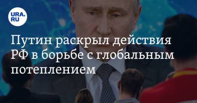Путин раскрыл действия РФ в борьбе с глобальным потеплением