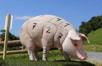 Закупочные цены на свинину прибавили 6%
