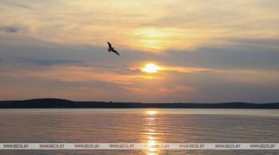 Благотворительный заплыв в помощь больным детям пройдет 4 июля на Минском море