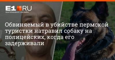 Обвиняемый в убийстве пермской туристки натравил собаку на полицейских, когда его задерживали