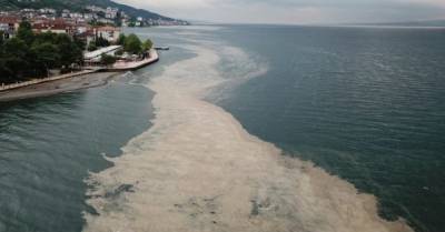 Побережье Турции атаковали &quot;морские сопли&quot; (ФОТО, ВИДЕО)