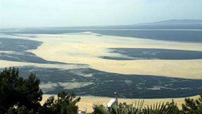 Мраморное море покрыла непонятная слизь
