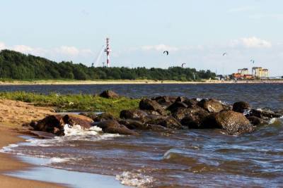На берегу Финского залива появится новая зона для туристов