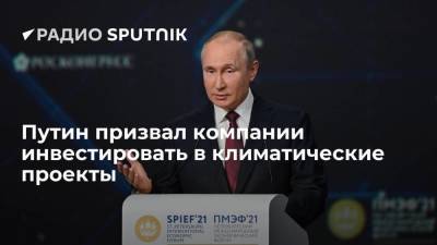 Путин призвал компании инвестировать в климатические проекты