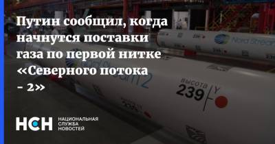 Путин сообщил, когда начнутся поставки газа по первой нитке «Северного потока - 2»