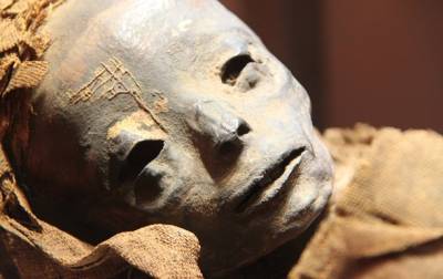 Разгадана тайна необычных египетских мумий из Саккары - korrespondent.net