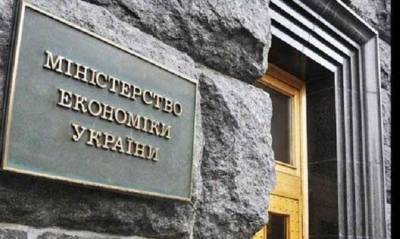На место замминистра экономики у Любченко претендует предприниматель Голубицкая с миллионными активами и без опыта на госслужбе