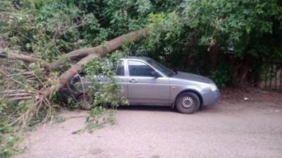 В центре Пензы на припаркованный во дворе ВАЗ рухнуло дерево