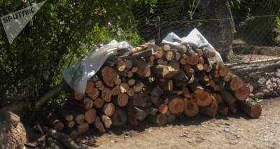 Полиция задержала 19 грузовых машин с незаконными дровами за 1,5 часа в Лори