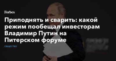 Приподнять и сварить: какой режим пообещал инвесторам Владимир Путин на Питерском форуме