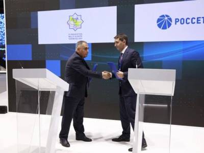 «Россети» начали стратегическое сотрудничество с «Национальными электрическими сетями Узбекистана»