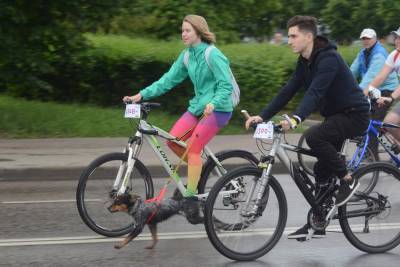 Участники липецкого велопарада помогут животным и примут участие в квесте