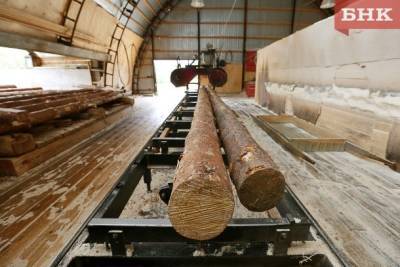 Предпринимателю не позволили вывезти из Коми древесину с личинками