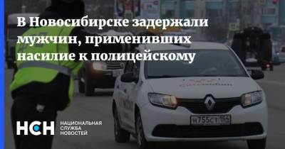 В Новосибирске задержали мужчин, применивших насилие к полицейскому