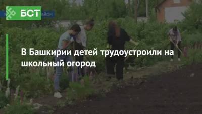 В Башкирии детей трудоустроили на школьный огород