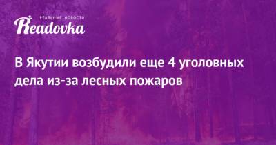 В Якутии возбудили еще 4 уголовных дела из-за лесных пожаров