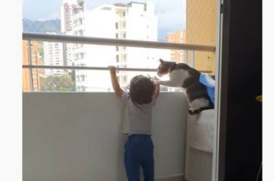 Ребенок вышел на балкон: вот как няня-кошка уберегла от опасности. ВИДЕО - from-ua.com
