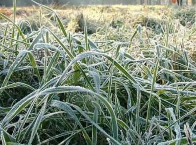 Синоптик предупредил россиян об аномальном холоде и заморозках в ряде регионах