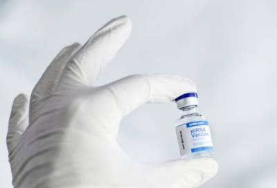 Разрабатываемая в Петербурге вакцина от коронавируса получила рабочее название "Аврора"