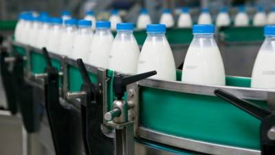 50% фальсификата: эксперты проверили качество молока в торговых сетях