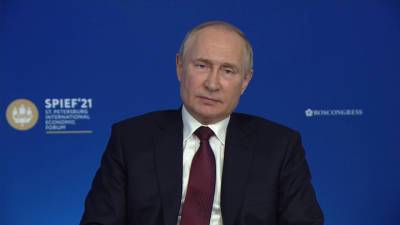Новости на "России 24". Путин: Китай и Индия смогут разрешить противоречия