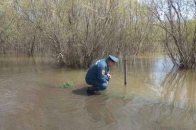 Власти Забайкалья подсчитали ущерб от паводка