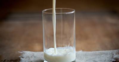Названо самое популярное среди россиян растительное молоко - reendex.ru - Такск