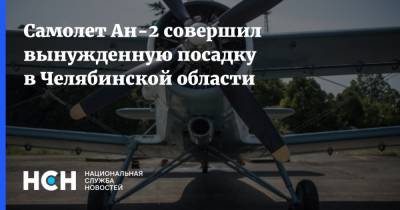 Самолет Ан-2 совершил вынужденную посадку в Челябинской области
