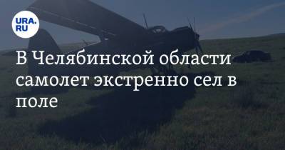 В Челябинской области самолет экстренно сел в поле. Фото