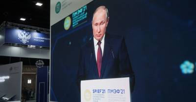 Путин объяснил применение мер по дедолларизации