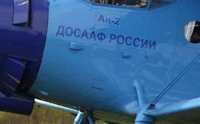 Ан-2 совершил вынужденную посадку в Челябинской области