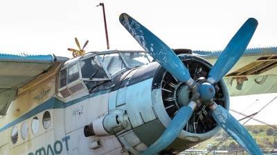 Самолет Ан-2 с пассажирами на борту экстренно сел под Челябинском
