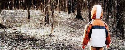 9-летний мальчик пропал в тайге на Урале во время похода